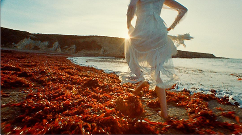 Screen Shot 2019-08-20 at 3.44.26 PM.png