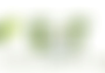 Exeter - Fall Festival