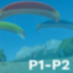 YP P1/P2 Başlangıç Eğitimi