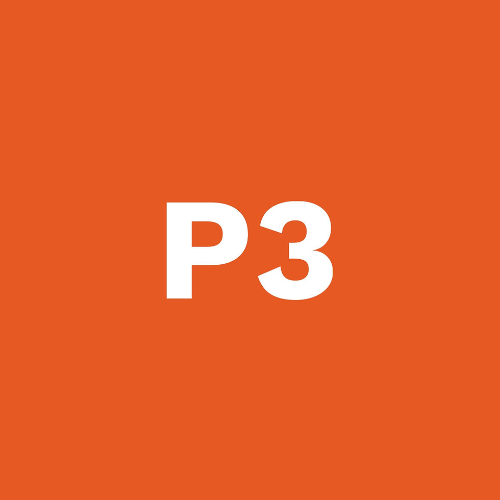 P3 Orta Seviye Eğitimi - 20 Nisan