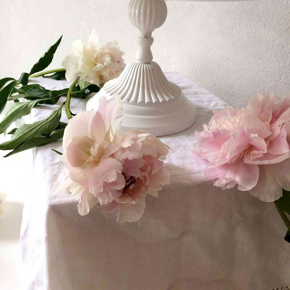 raspberry and almond cake - gâteau aux framboises et aux amandes