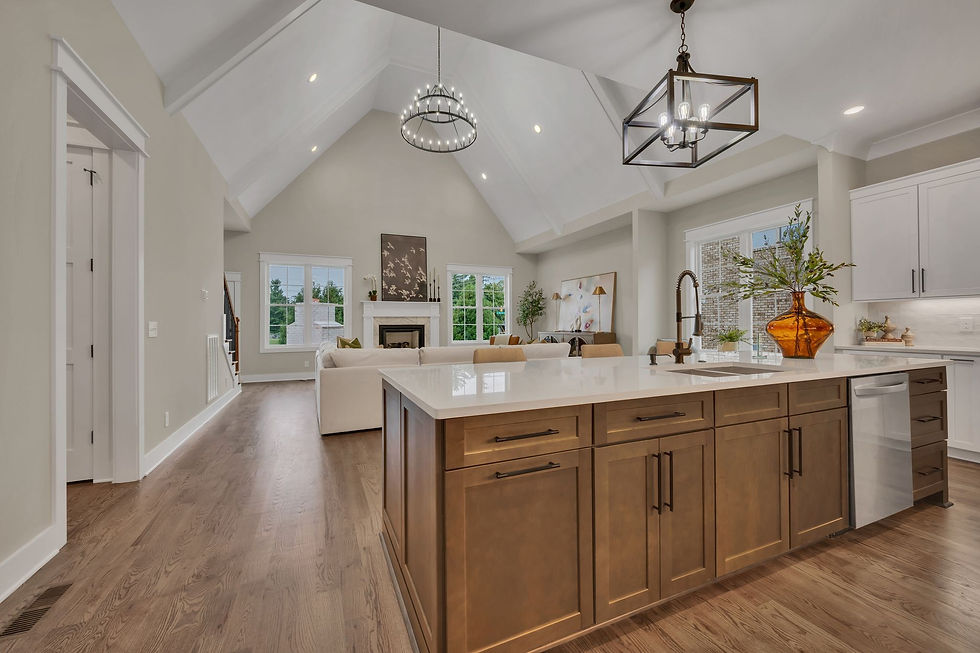 Kitchen and living room