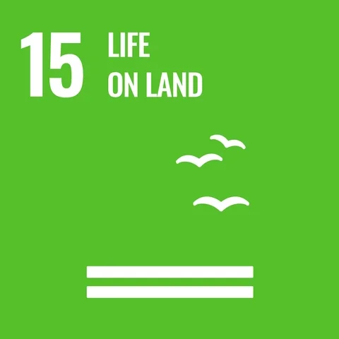 [Gif] 15 - Life on Land.webp