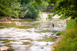 Reunions, Parties, Events...