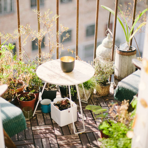 Apartment Homesteading: Tips and Tricks for Self-Sufficiency in a Small Space