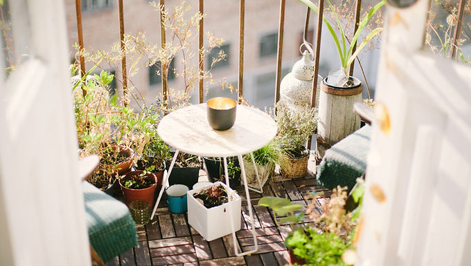 Small-Space Gardening: Growing Food on Your Patio, Balcony, or Windowsill