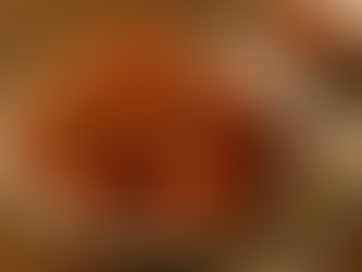 Giving Tuesday Truckin Tofu Drumsticks