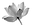 image (2).png