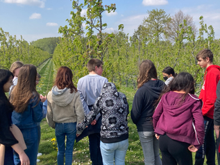Verbondenheid observatiejaar