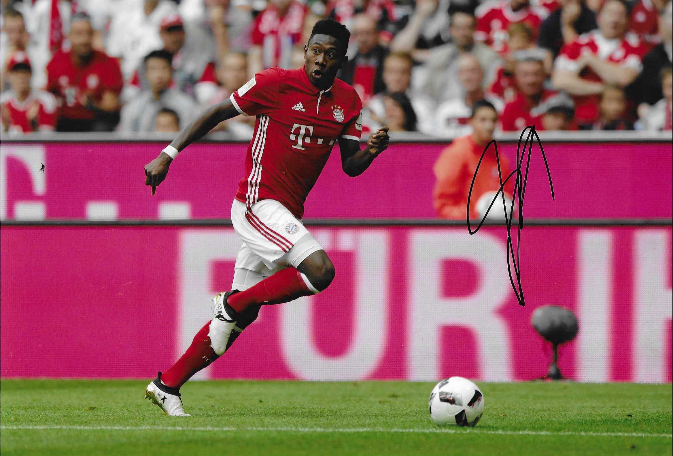 David Alaba - Bayern Munich & Austria - Signed 12x8 Photo 