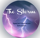 The Storm Special Education Solutions LLC