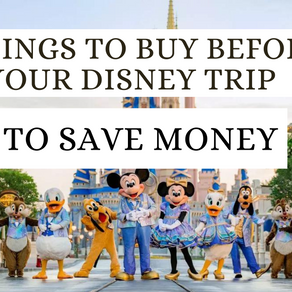 5 things you need to buy before your Disney World Vacation to save MONEY!