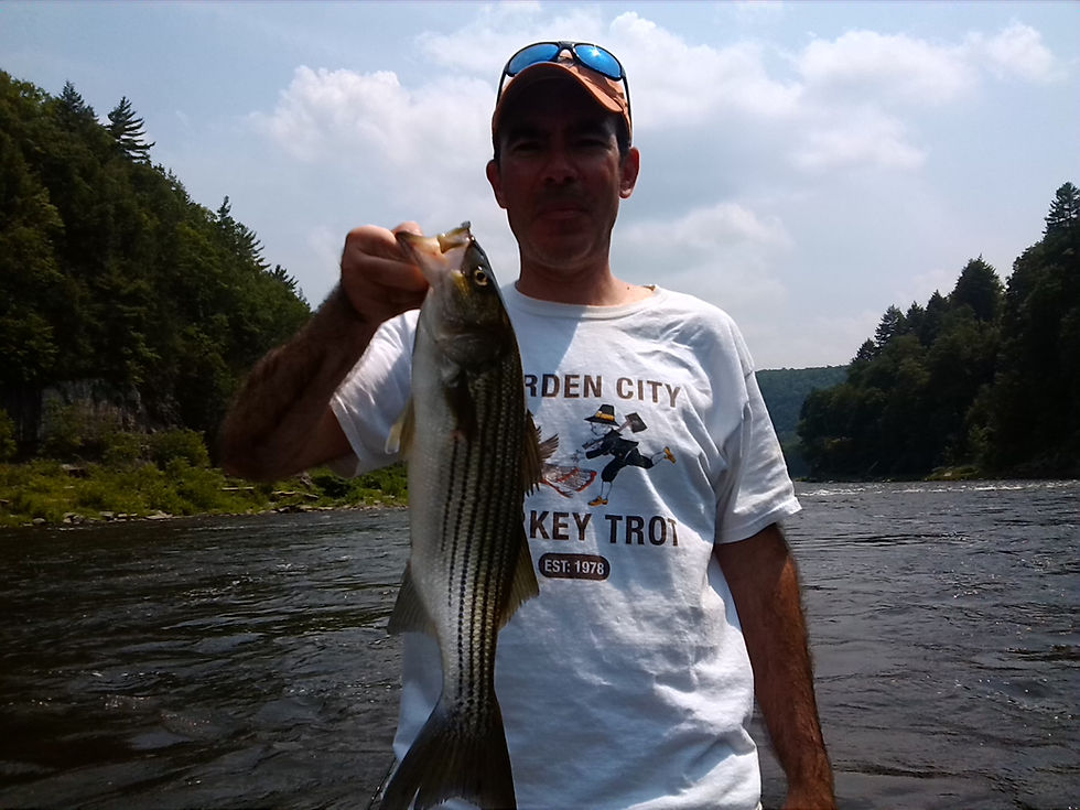 IMG_20150612_141513.jpg