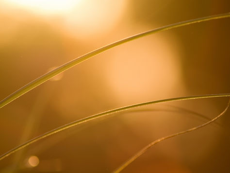 Ethan Vilu: Strange, Ungainly & Blessed