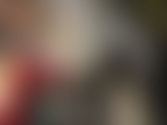 17. Monte Librić - pulski festival dječje knjige