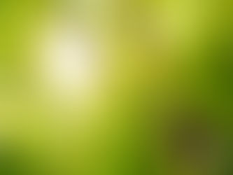 Projekt Žena u vjeri - Ljiljana Brković Zorčić: Bhanka