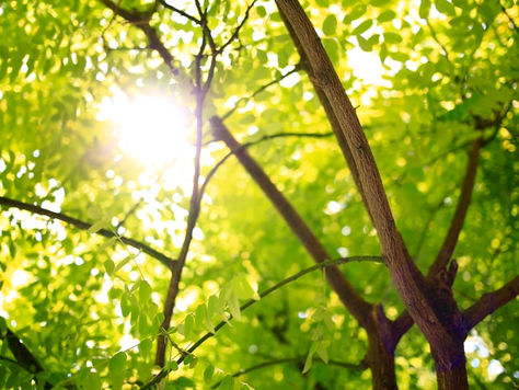 Projekt Žena u vjeri - Ljiljana Brković Zorčić: Bhanka