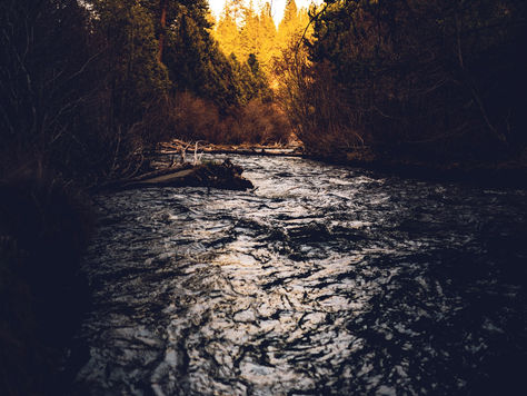 Marija Pavković: Granice i Utisci