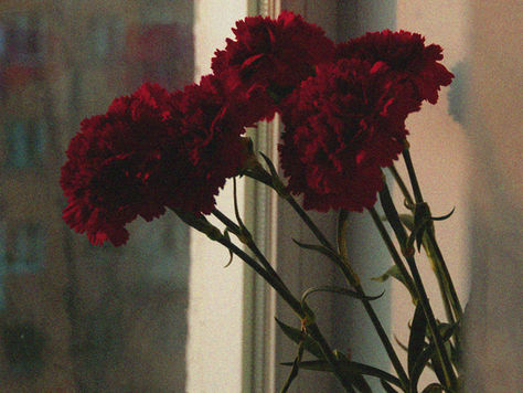 Kako reći zbogom mrtvima