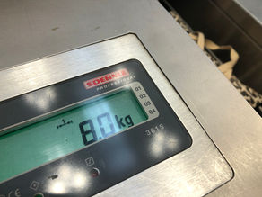 Hund mit ultra-leichter Flugtasche wiegen zusammen exakt 8,0 kg