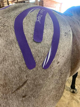 equitape_1.jpeg