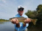 Lehigh River Brown