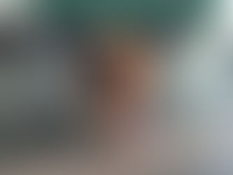 Chien destructeur : la transformation incroyable de Vador !