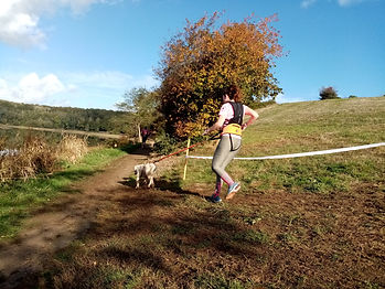 canicross