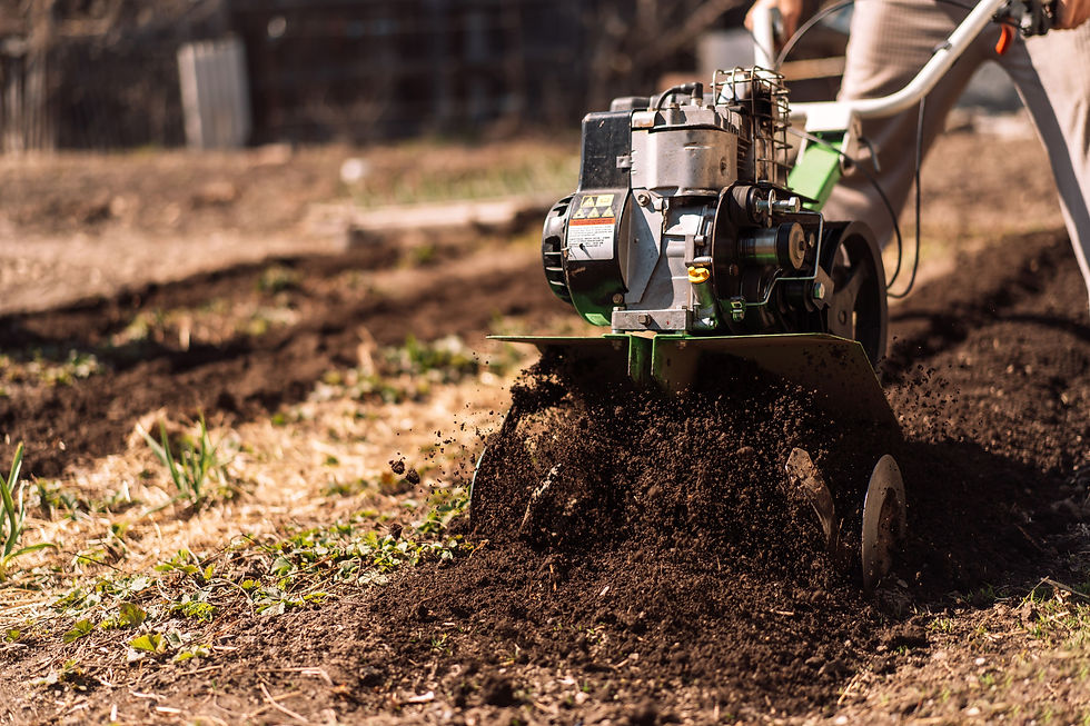 Thumbnail: Yard Prep & Clean up