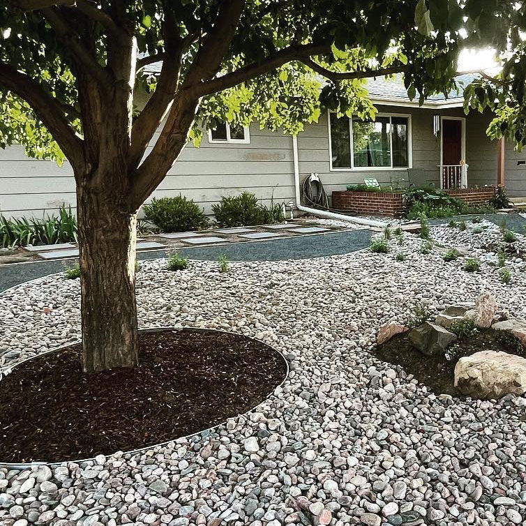 Yard Prep & Clean up