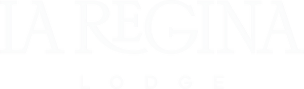 logo la reginaRecurso 18_3x_edited_edite