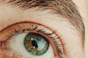 Eyebrow color brown.jpg