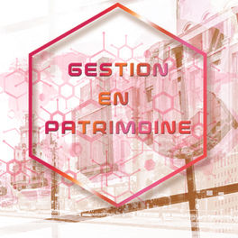 gestion-patrimoine