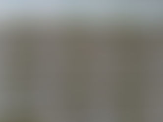 FG Shoes prestigiando suas clientes