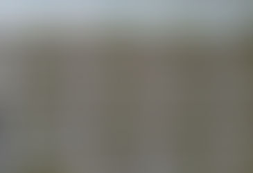 FG Shoes prestigiando suas clientes