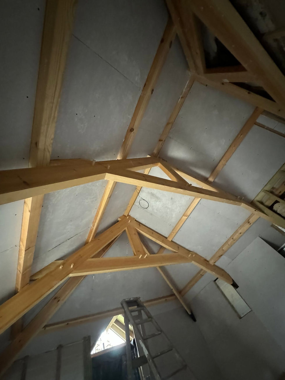 Exposed feature beams and purlings