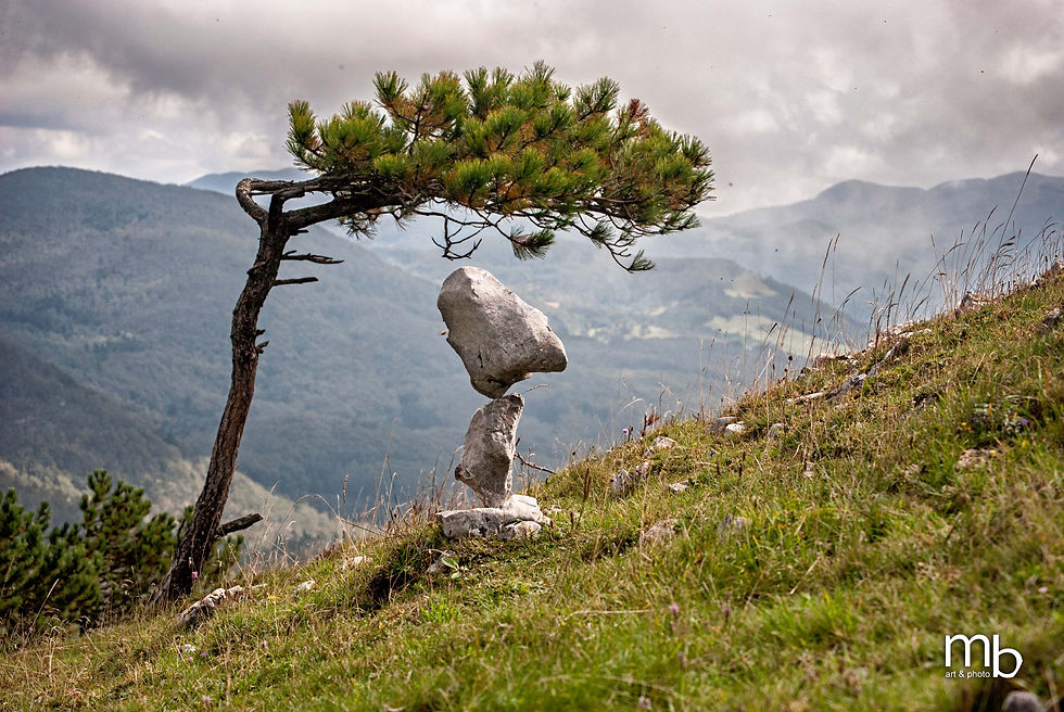 Equilibrium