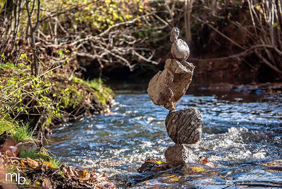 Equilibrium