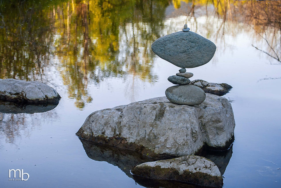 Equilibrium