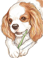 BrushSyanpu