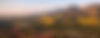 aerial_high_field_hero_d1ed13dd-adda-4c10-b6fc-7ac3aefaf438_edited.jpg