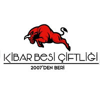 e75baf14-0c90-49b7-aa04-bd734ee98379.jfif