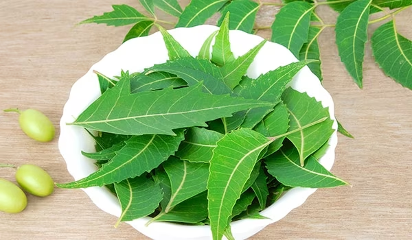 Power of Neem