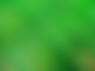 Best Functional Medicine Doctor in India: Dr. Priti Nanda Sibal