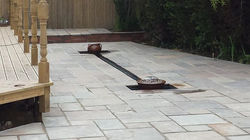 10438145_710326145682220_5501999550324959521_n