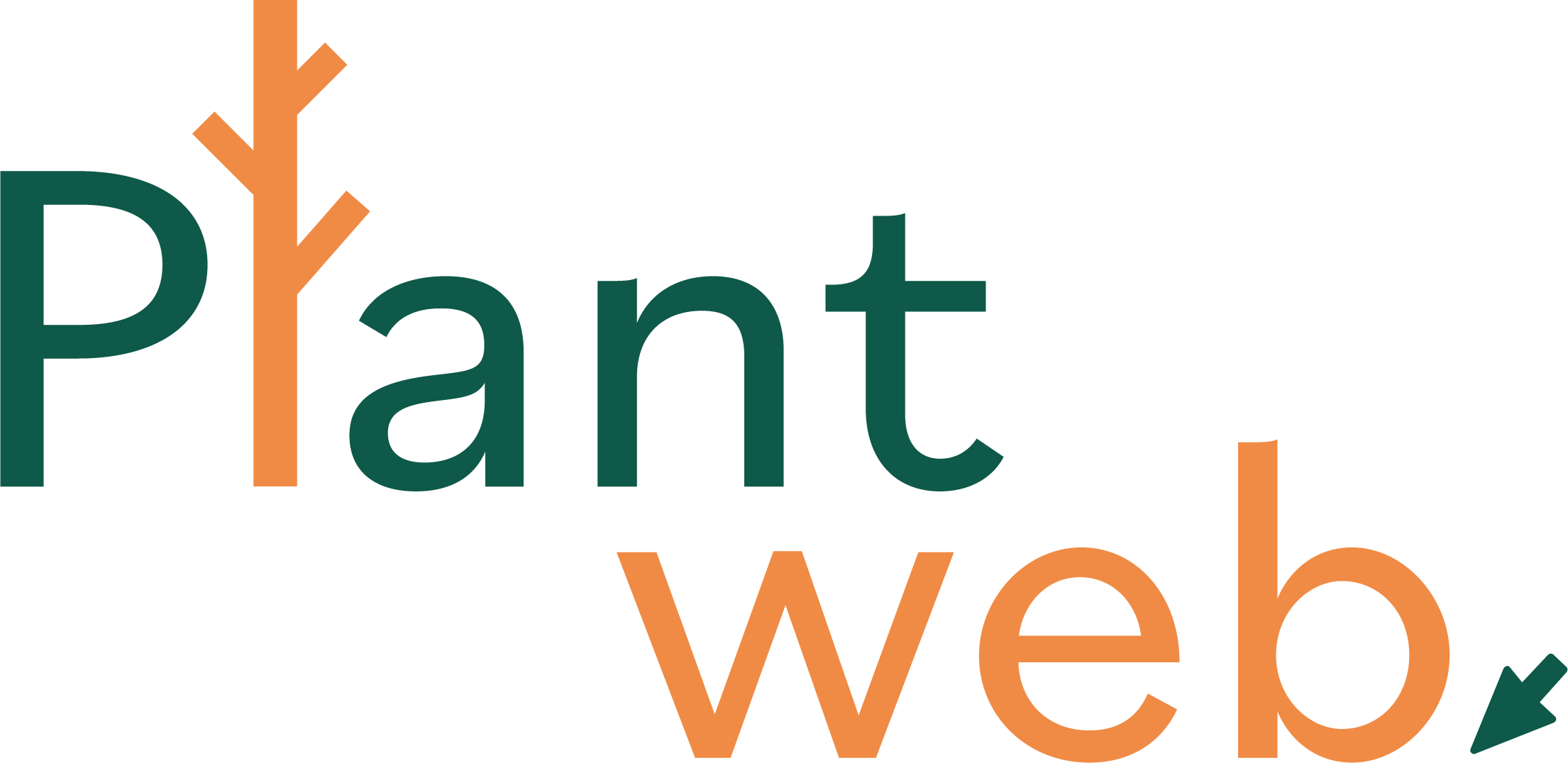 Foto van schrijver: Plantweb