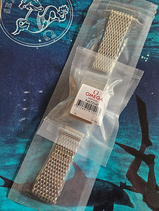 020stz015599 Omega Speedmaster Ploprof 24mm Steel Mesh Bracelet - Main Image