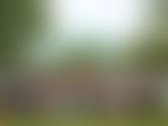 Discovering a Gem: Move Inclusive Dance