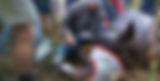 Header-2.jpg