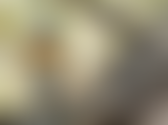 How to identify birds using the GISS method